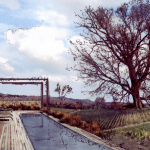 Landscape, Architecture, Luxury Goods | Residence in Toscana, Italy | with Arch M Bonelli