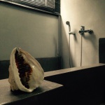 Diseño y Contexto | Arq. Santiago Caprio | Casa en Costa Esmeralda – Costa Atlantica Argentina