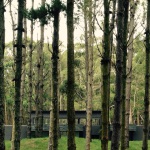 Diseño y Contexto | Arq. Santiago Caprio | Casa en Costa Esmeralda – Costa Atlantica Argentina